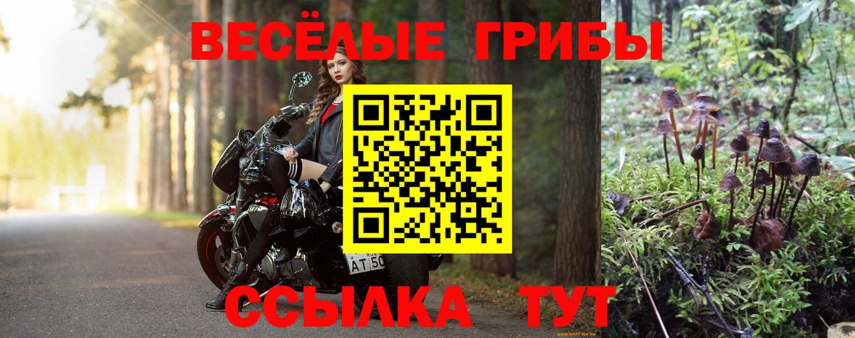 Вышний Волочёк  Галлюциногенные грибы Magic Shrooms  Вход с VPN  Псилоцибиновые грибы GOLDEN TEACHER 